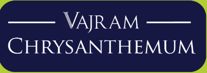 Screenshot 2026-02-06 205348